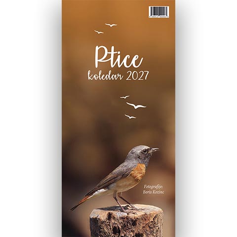 Koledar-PTICE-2027-BU-0 Koledar Ptice 2027, Ptice 2027, Ptice