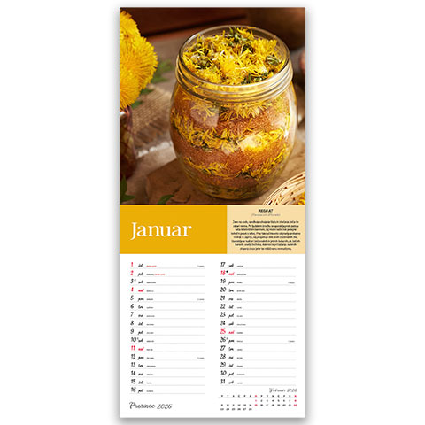 koledar-scepec-zdravja-2026-EG-1 Koledar Ščepec zdravja 2026 – motivacijski nasveti in zdravi življenjski vzorci za začetek leta.