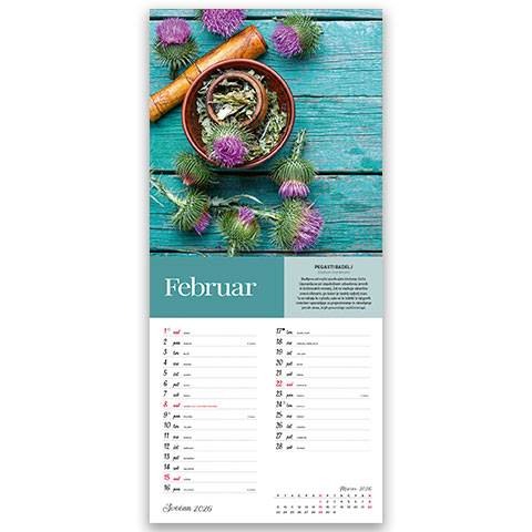 koledar-scepec-zdravja-2026-EG-2 Koledar Ščepec zdravja 2026 – spodbujanje zdrave prehrane in gibanja v vsakodnevnem življenju.