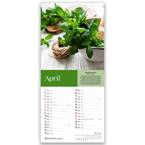 koledar-scepec-zdravja-2026-EG-4 Koledar Ščepec zdravja 2026 – nasveti za več energije in vitalnosti v pomladnem času.