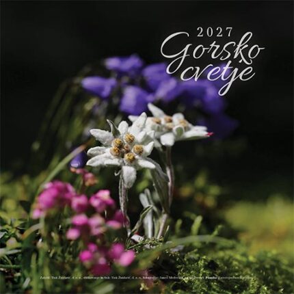 KOLEDAR gorsko cvetje 2027, gorsko cvetje