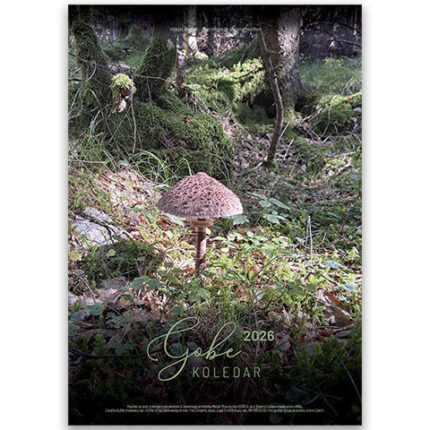 setveni koledar gobe